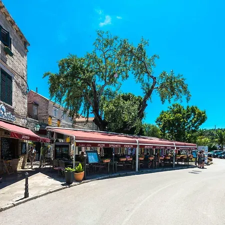 Sun And Stone * 察夫塔特